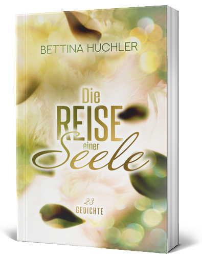 Die Reise einer Seele - kleines Taschenbuch (Mängelexemplar)